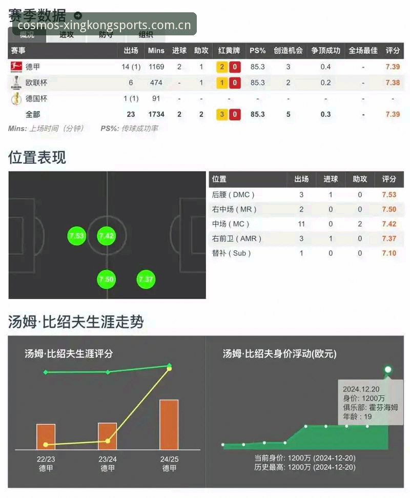 星空体育赛事数据 星空体育赛事数据功能详解——从技术角度评测数据获取效率