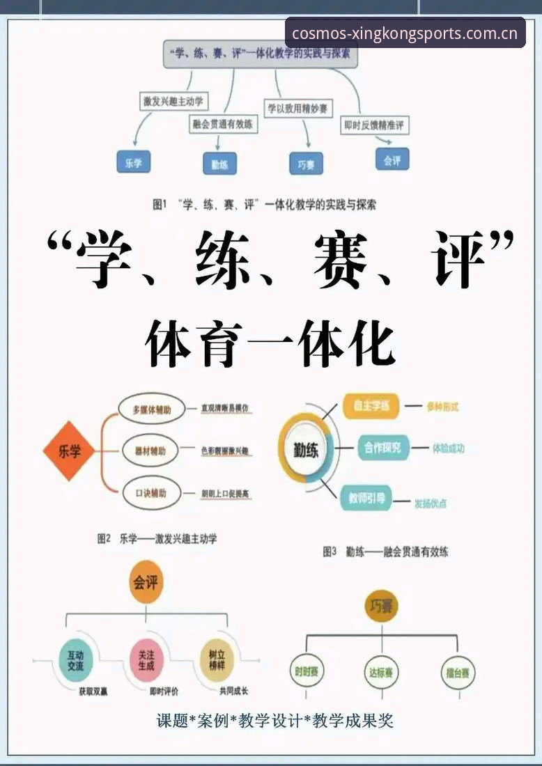 星空体育官网与普通体育平台全面对比：从使用教程到实战评测的真实体验