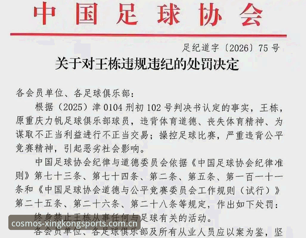 星空体育官网 足协禁足名单与行业自净:星空体育官网上的中国足球反腐实录
